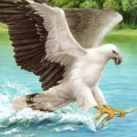 Слайд „Хищни птици“